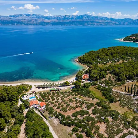 Villa Seaside Luxury With A Swimming Pool Mirca, Brac - 16183